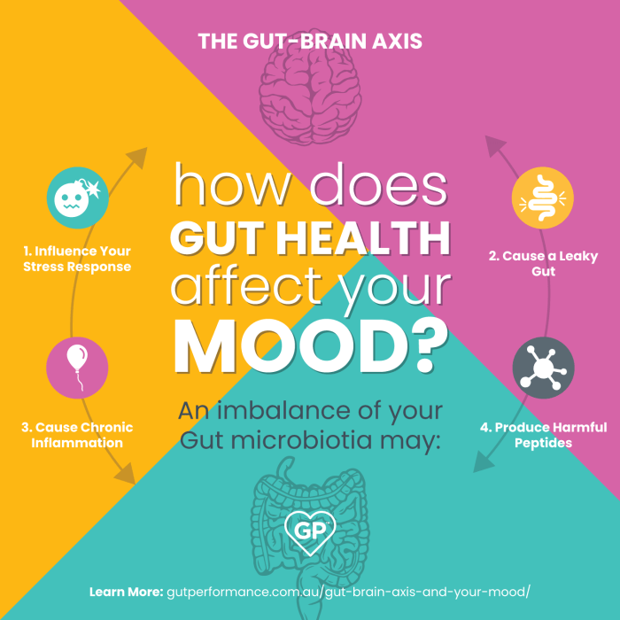 How gut health affects mood